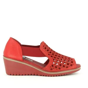 24 Hrs 24445 Red Wedges