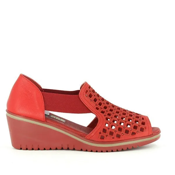 24 Hrs 24445 Red Wedges