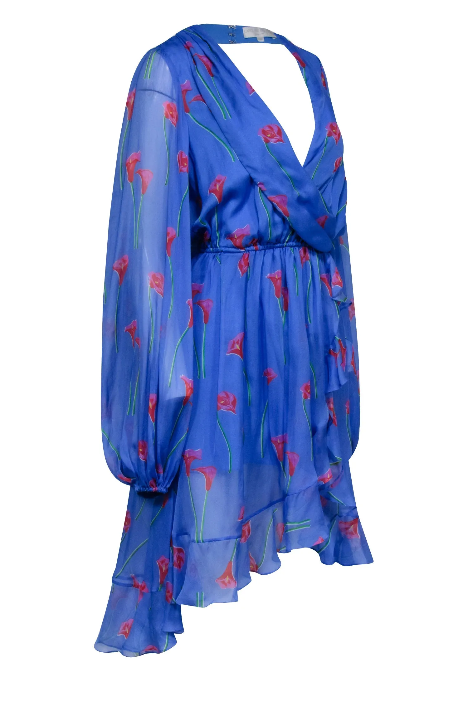 Caroline Constas - Blue w/ Pink Floral Print Silk Ruffled "Olivia" Dress Sz M