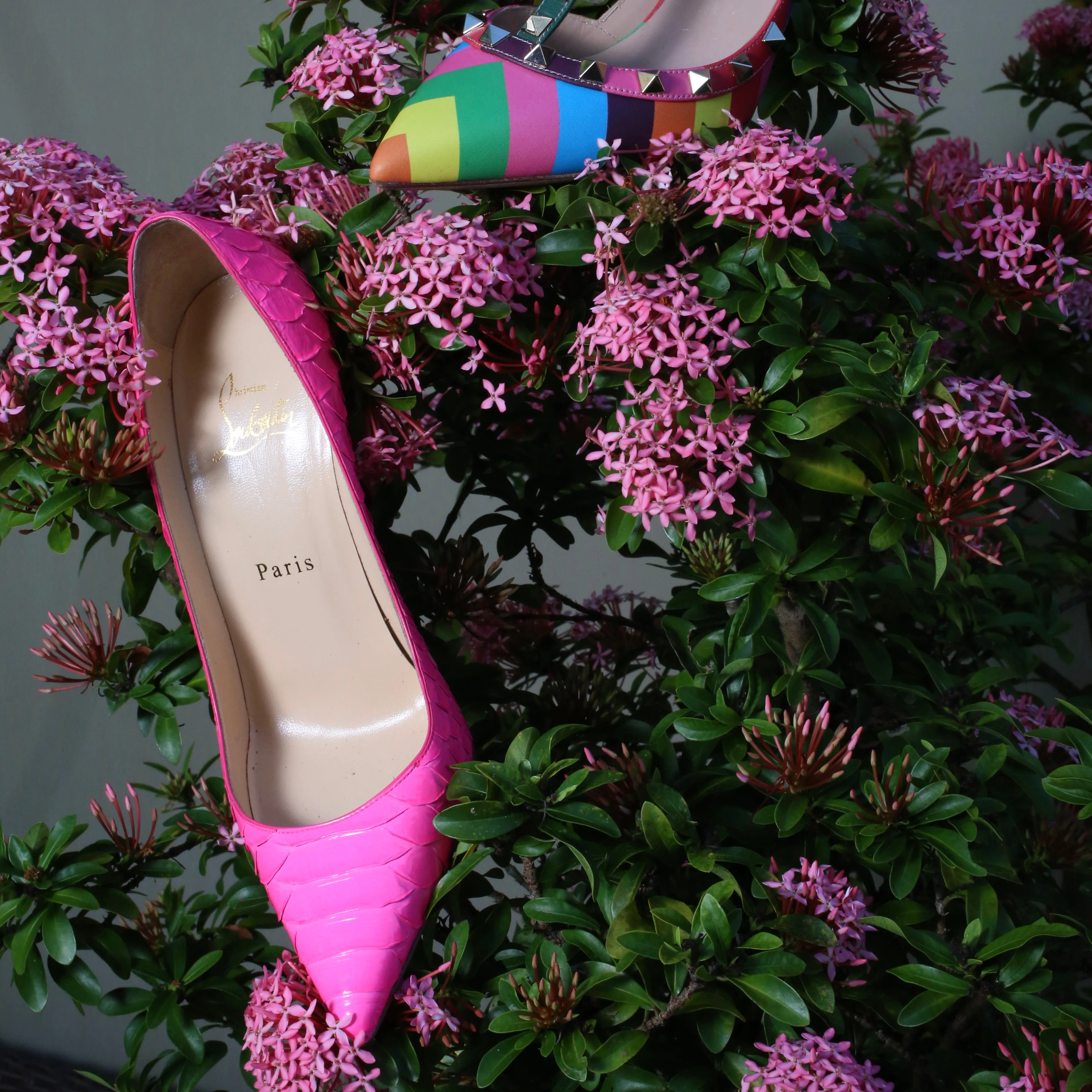 Decollete Python Pink 38