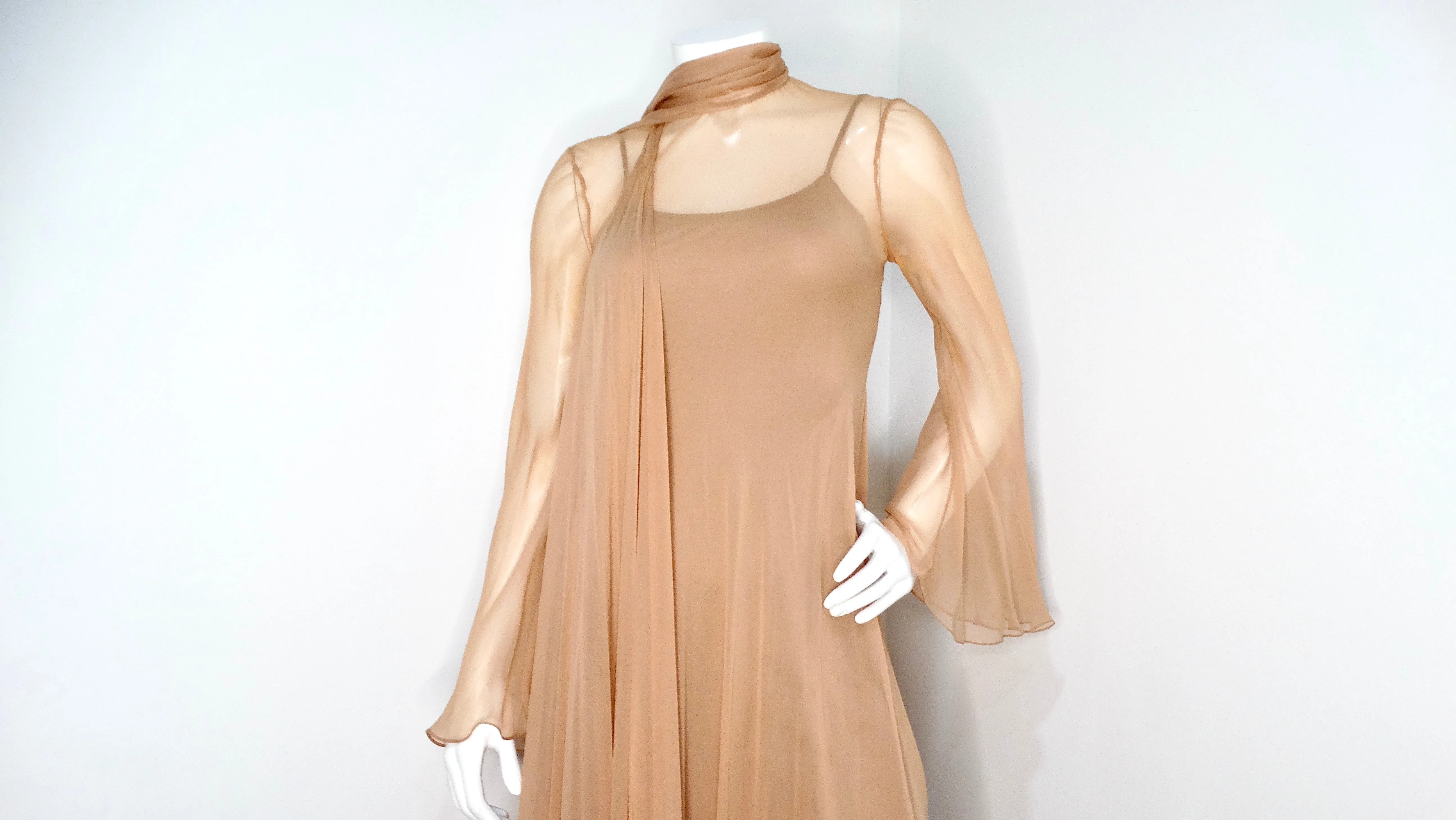 Fiandaca Couture Vintage 1960s Sheer Tan Angel Wing Dress With Slip