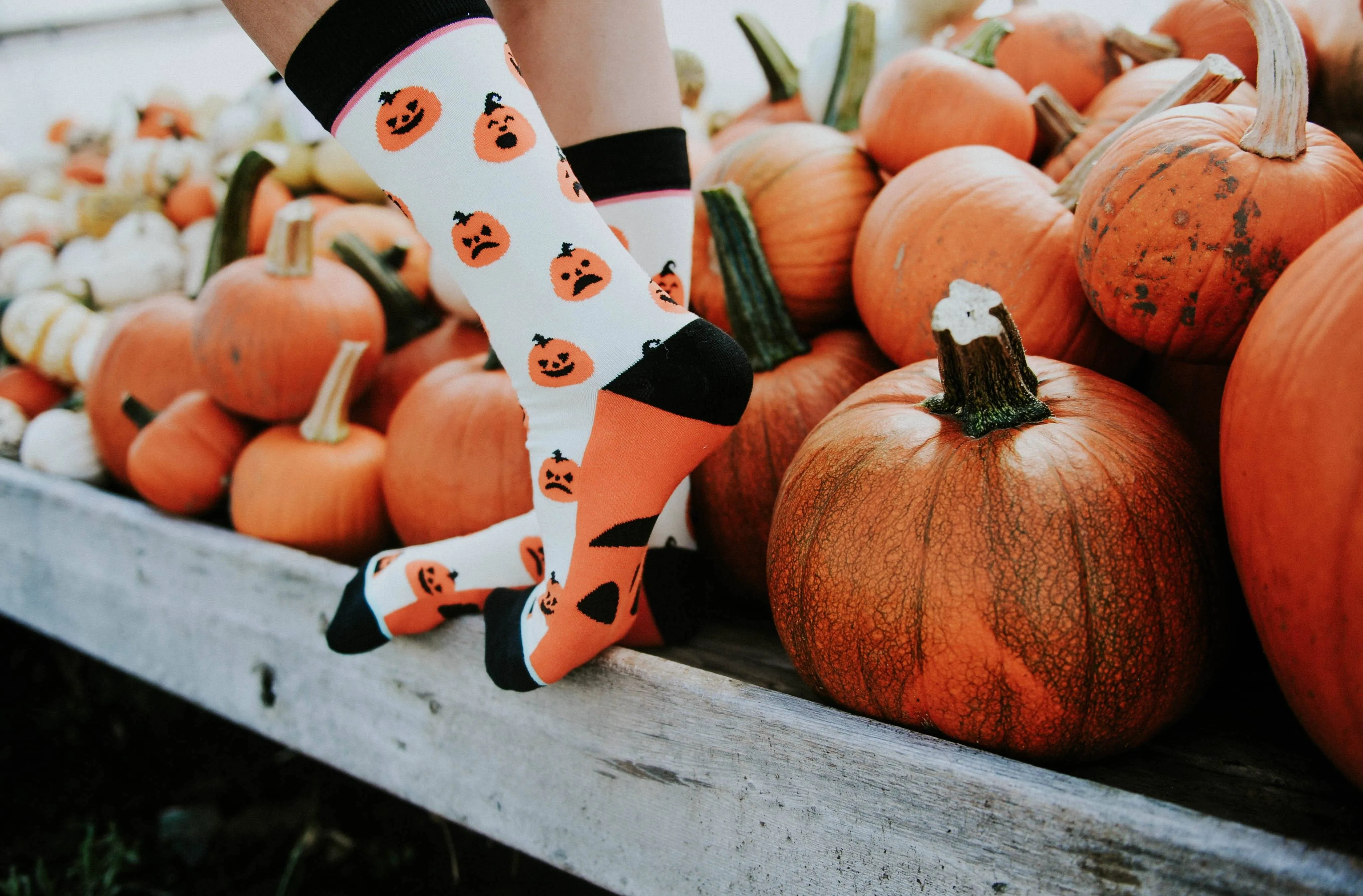 Jack O'Lantern