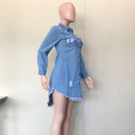 Long Denim Jacket