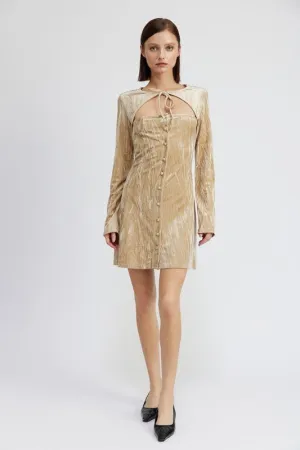 Long Sleeve Velvet Mini Dress