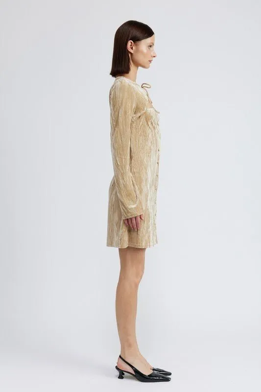 Long Sleeve Velvet Mini Dress