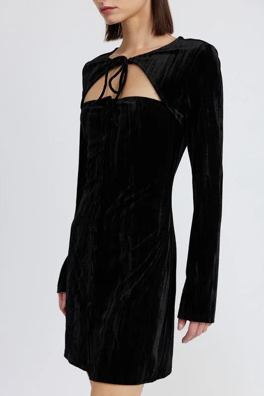 Long Sleeve Velvet Mini Dress