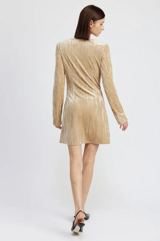 Long Sleeve Velvet Mini Dress