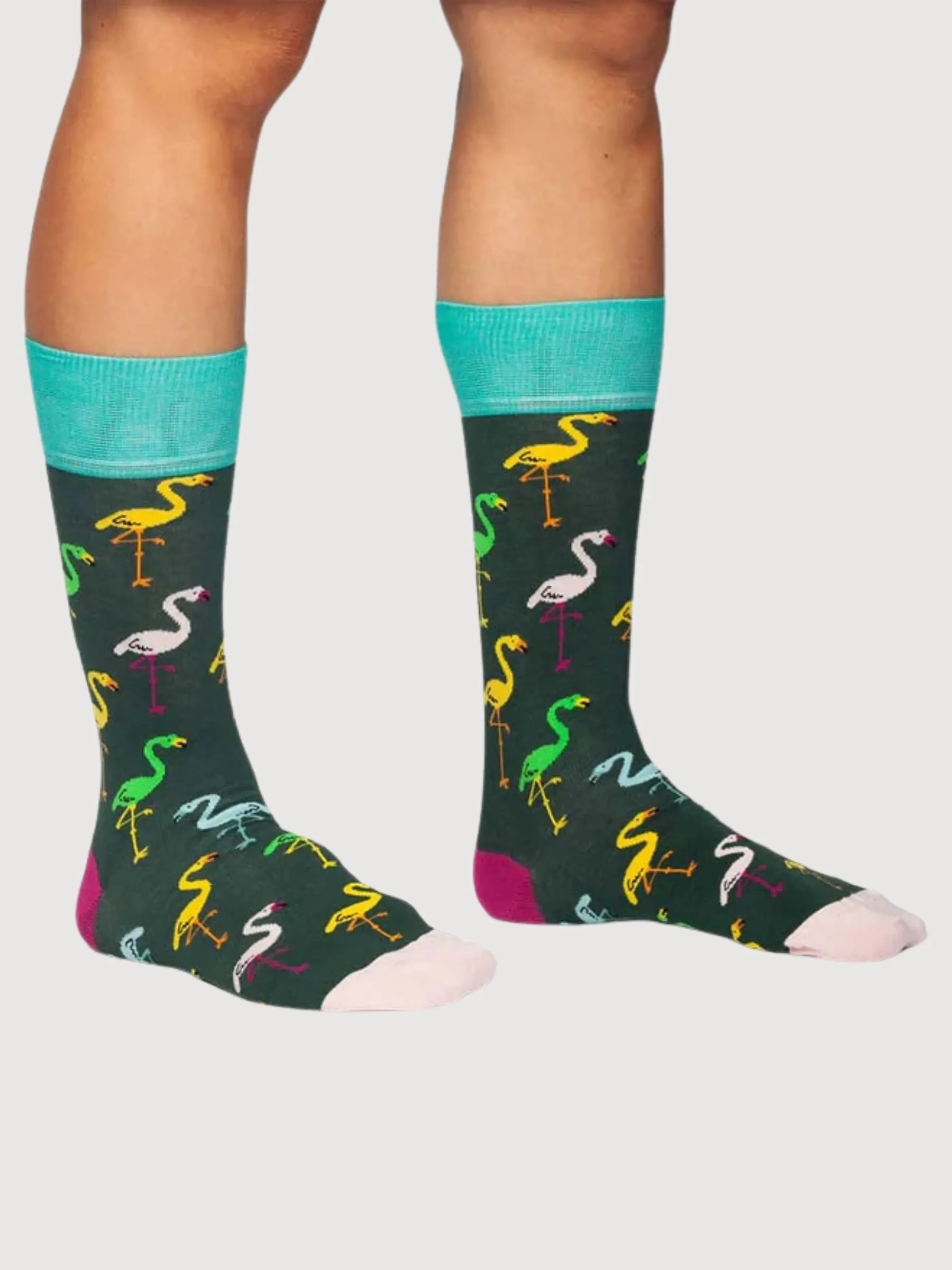 Organic Cotton Socks Flamingo Forest | Dillysocks
