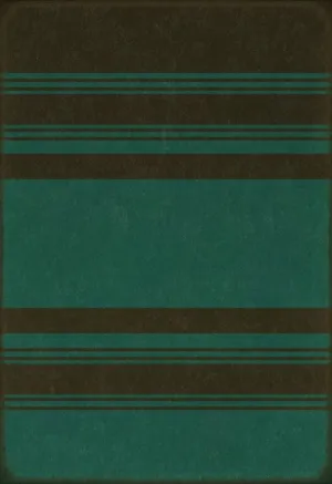 Pattern 50 - Organic Stripes Black And Teal