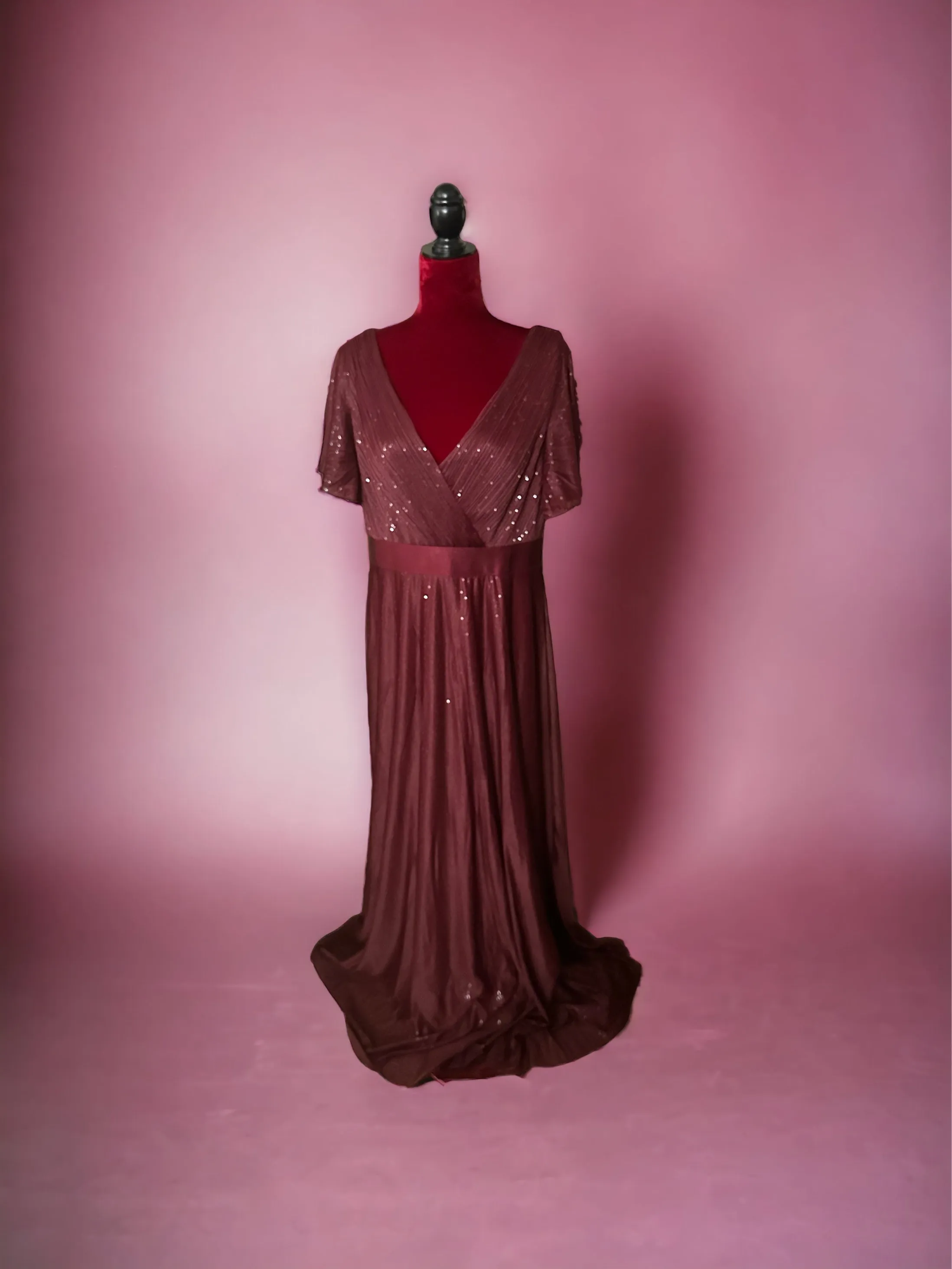 Plus Size V Neck Ribbon Waist Formal Evening Dress With Sleeves