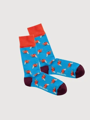 Socks Look Racoon | Dillysocks
