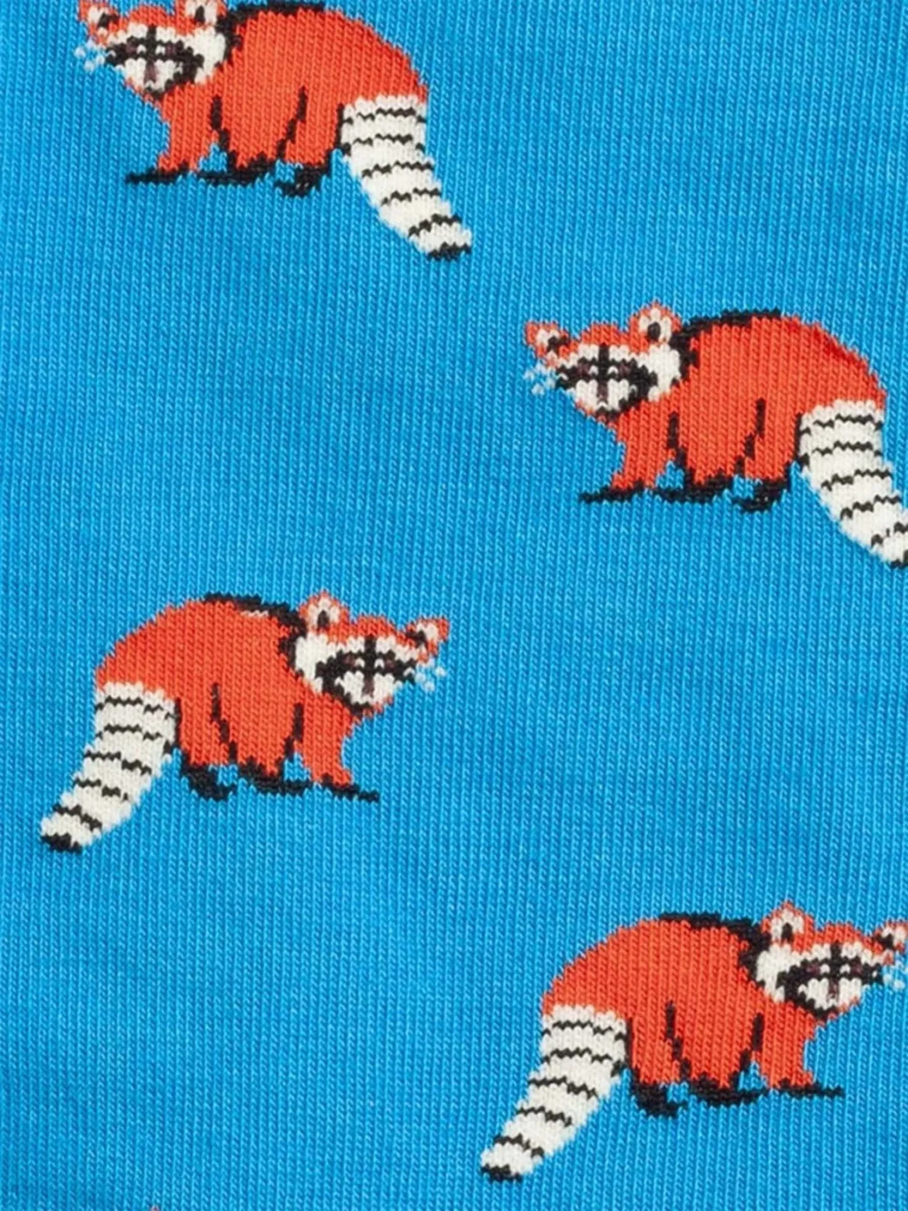 Socks Look Racoon | Dillysocks