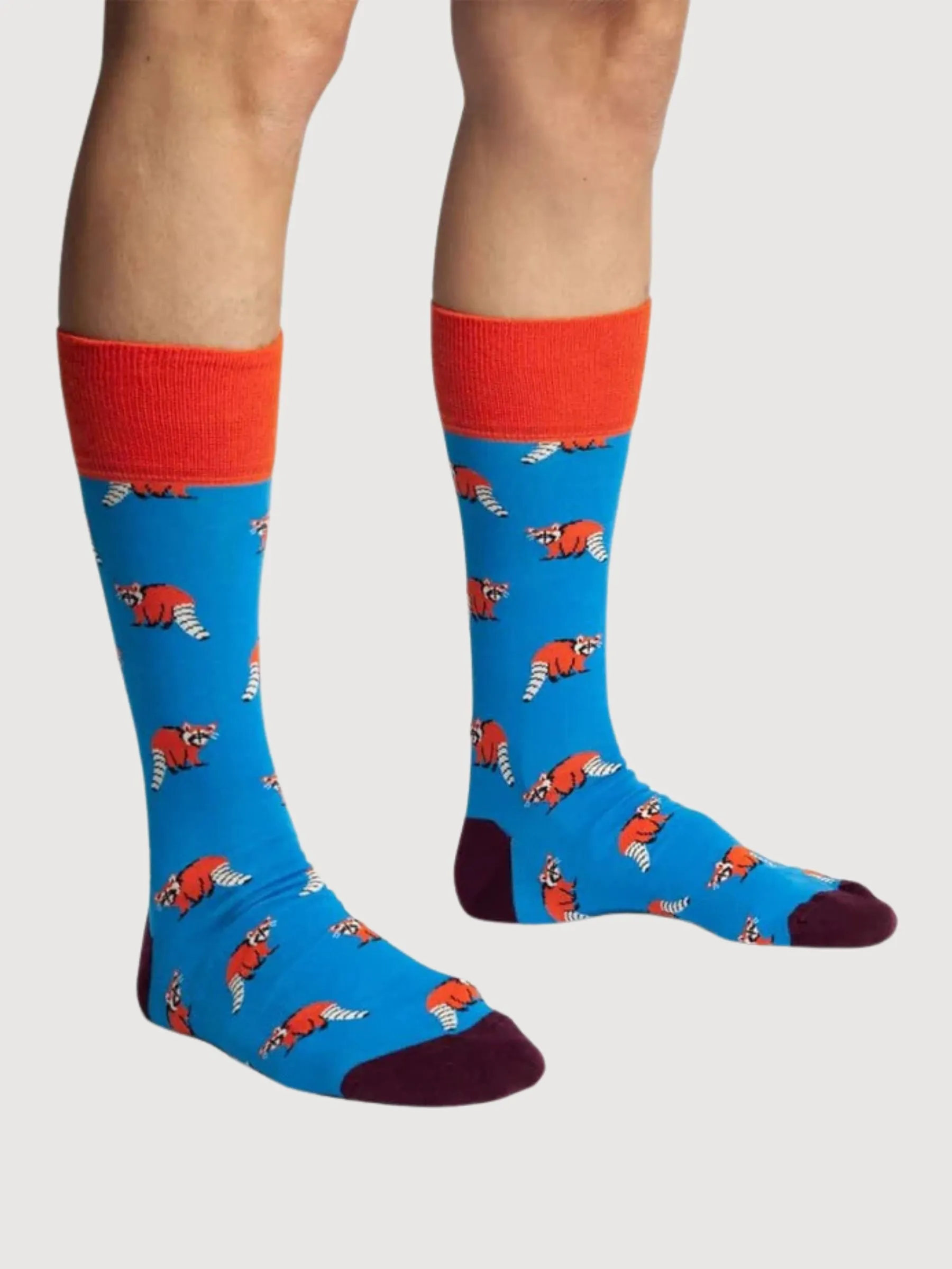 Socks Look Racoon | Dillysocks