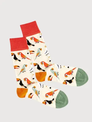 Socks Sand Aviary Organic Cotton | DillySocks
