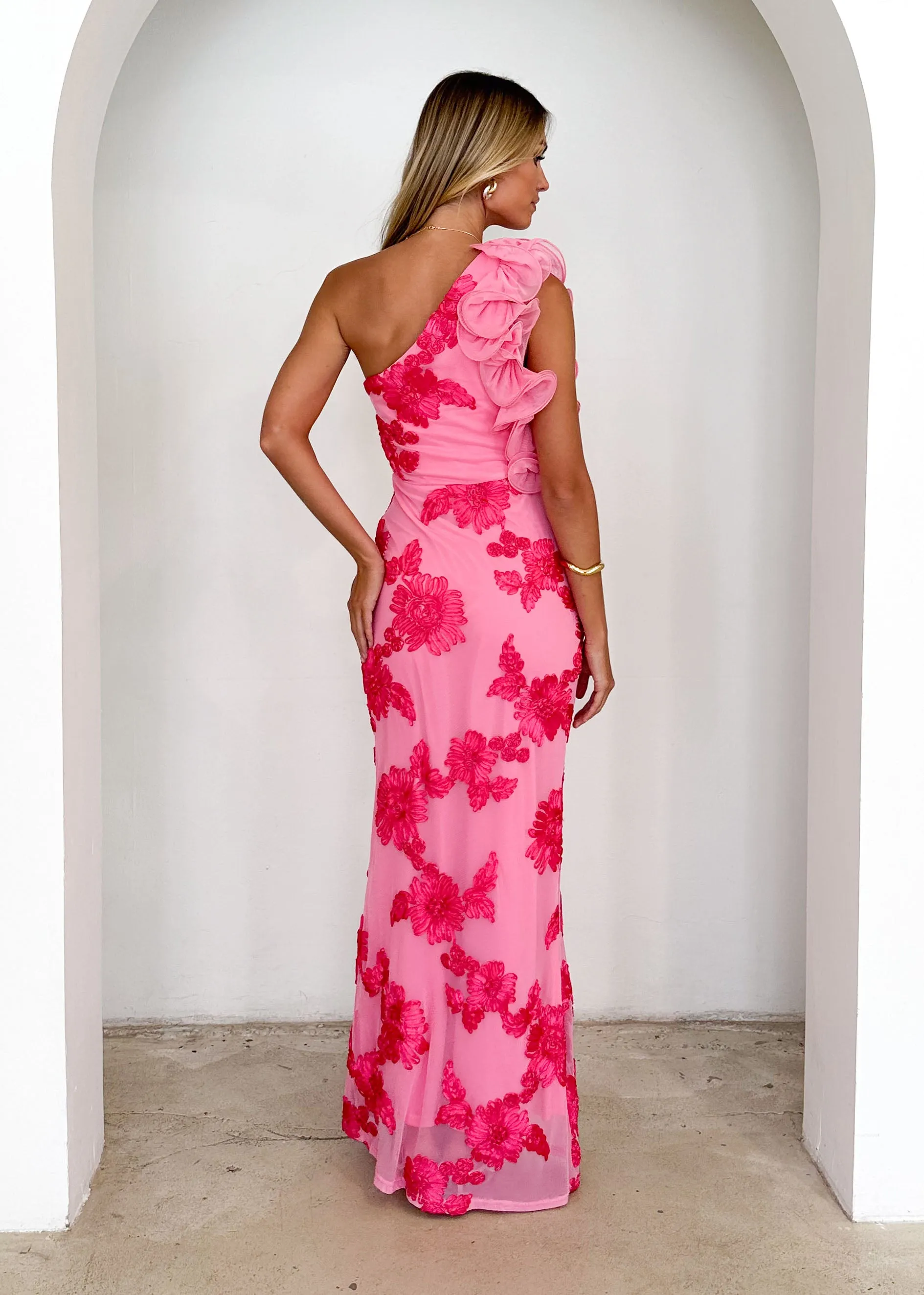 Trilby One Shoulder Mesh Maxi Dress - Pink Floral